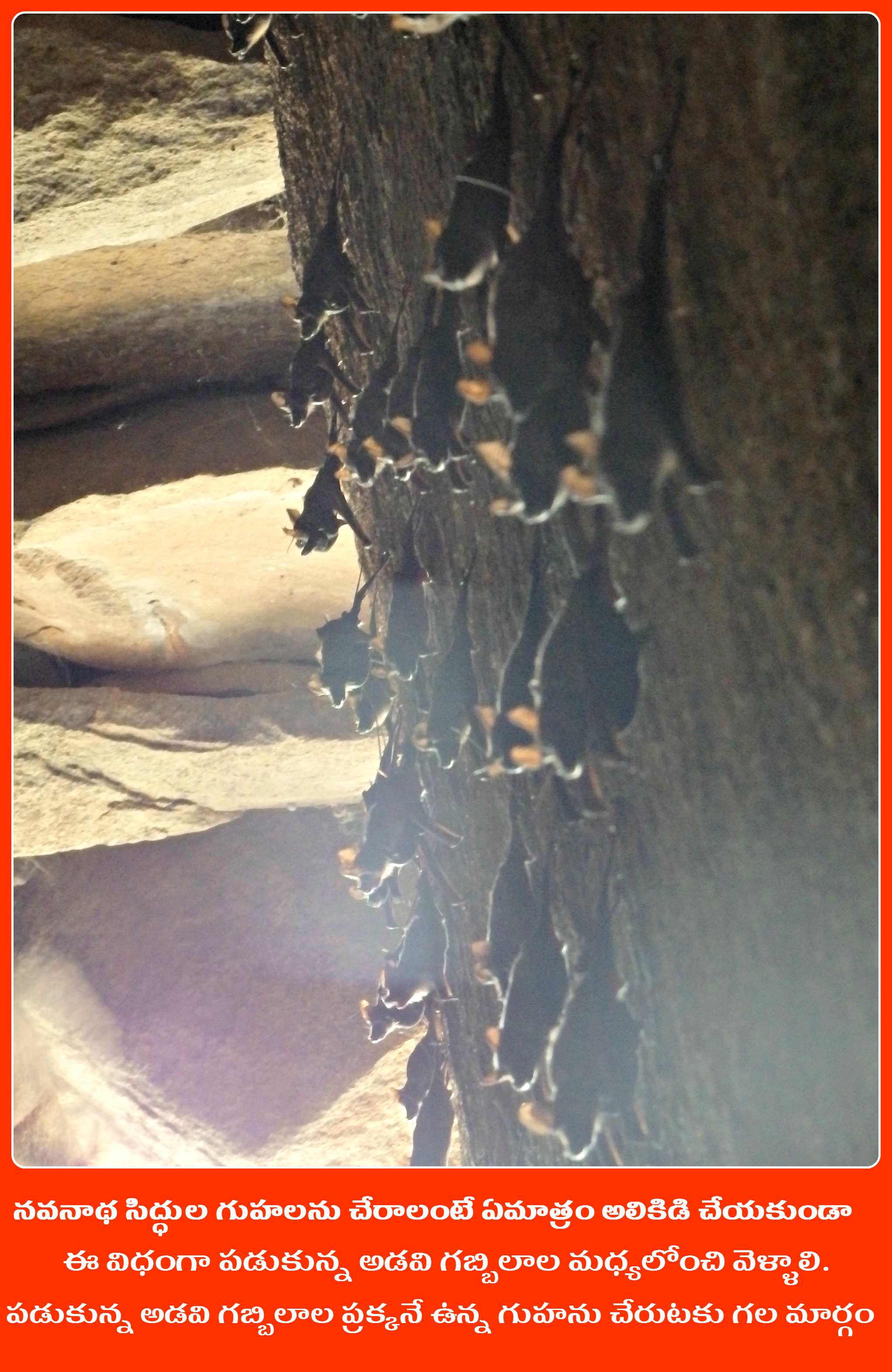 China Kodalgal (Pitlam) Navanatha Siddha Caves-9